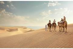 Grid_Qatar_Camels_N1A8461_Wip_7v2-2